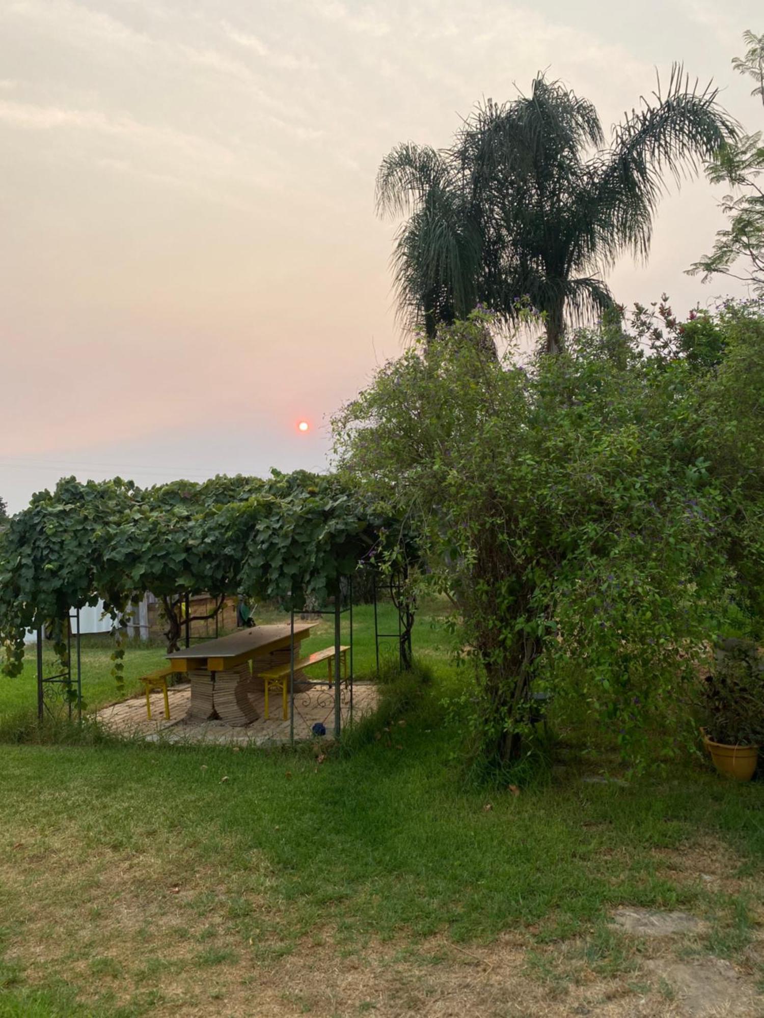 Agrib&B Lemontree Garde'N Syracuse ภายนอก รูปภาพ